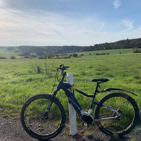 Ferienwohnungen Eifelstuben Mit Charme - Am See, Nahe Burg Ulmen Kültér fotó
