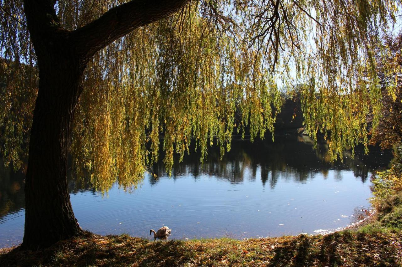 Ferienwohnungen Eifelstuben Mit Charme - Am See, Nahe Burg Ulmen Kültér fotó